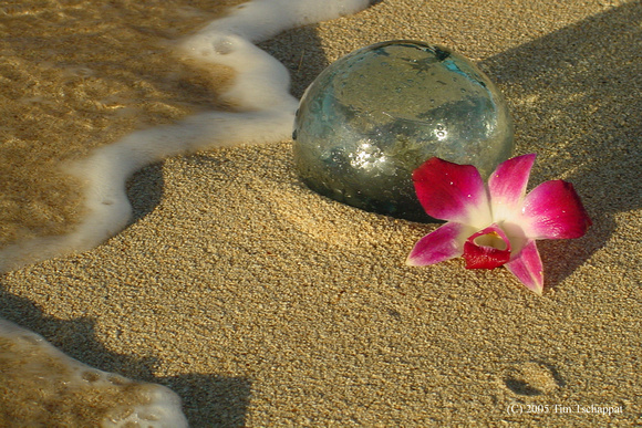 Glass float with Orchid on the beach