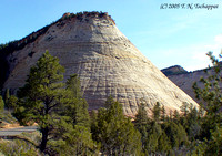 Zion National Park