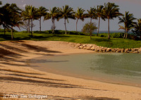 Solarization of Beach Scene 2