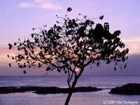 Sunset from the Ko Olina Marina