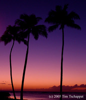 Magic Island Sunset - Waikiki