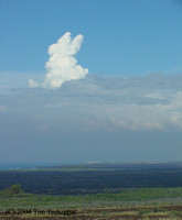 A Bunny in the Clouds