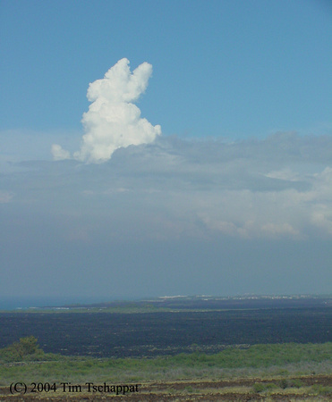 A Bunny in the Clouds