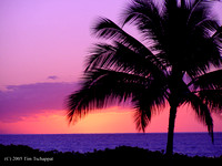 Hawaiian Sunset at Ko Olina, Oahu