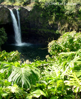 Rainbow Falls - Big Island