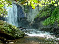 Looking Glass Falls 2