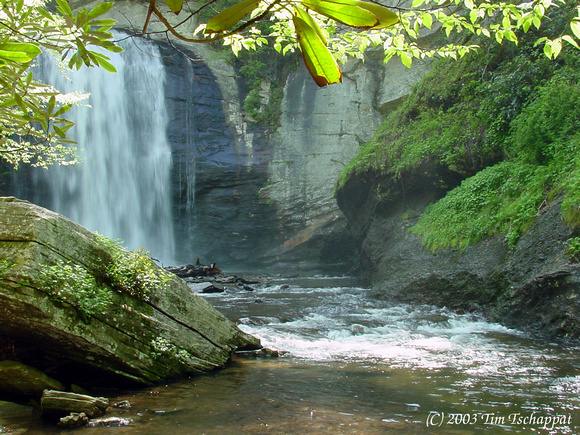 Looking Glass Falls 2